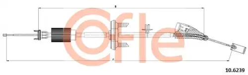 Ciegno 10.6239 COFLE