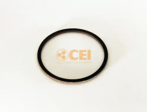 Gearbox O-ring 239122 CEI