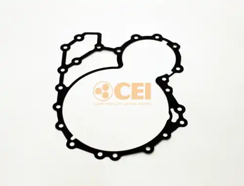 прокладка КПП !(к) \ZF 239.189 CEI