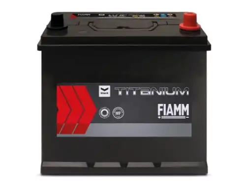 Аккумулятор FIAMM D3195