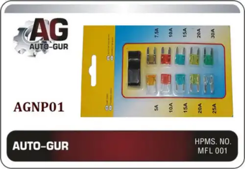  AGNP01 AUTO-GUR