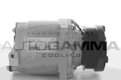 Компрессор новый Ford Transit Connect 1.8D 07"- 108673 AUTOGAMMA