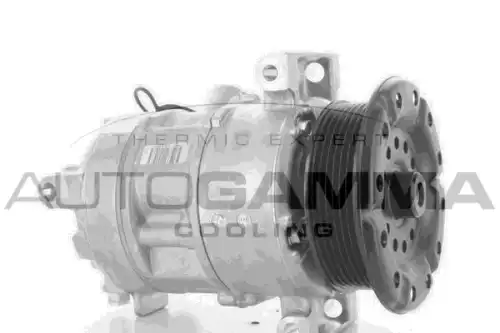 Компрессор новый Dodge Caliber 2.0 06- 118457 AUTOGAMMA
