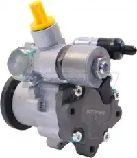 Насос гидроусилителя руля MOTORHERZ P1666HG