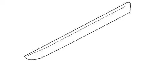 Молдинг двери 5S4Z-5420939-AAPTM FORD