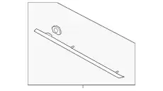 Молдинг двери задний левый DP5Z-5425557-AA FORD