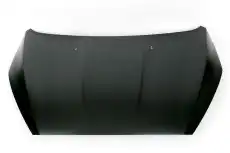 HOOD ASY - LESS HINGES F1EZ-16612-A FORD