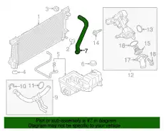 HOSE - RADIATOR FL1Z-8260-B FORD