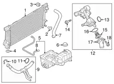 HOSE - RADIATOR FL1Z-8260-B FORD