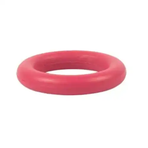 GASKET FT4Z-6N652-C FORD