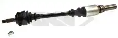 302931