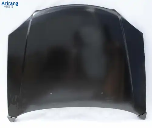 Капот ARG11-1005 TAXI ARIRANG