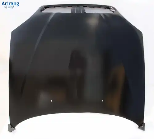 Капот ARG11-1027 TAXI ARIRANG
