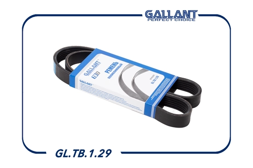 GALLANT GL.TB.1.29