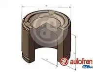 d025496 autofren