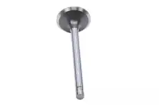 VALVE 10240896 GM