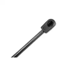 STRUT 10274108 GM