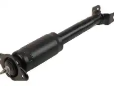 ABSORBER 10302877 GM