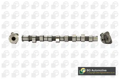 Распредвал BGA CS9508