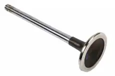 VALVE-INT 12558295 GM