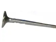 General Motors,Клапан выпускной 12563064 GM
