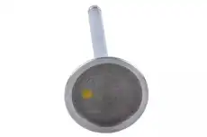 VALVE 12568411 GM