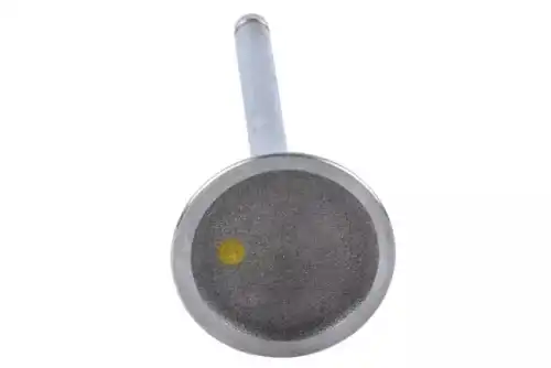 VALVE 12568411 GM