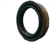 SEAL 12569964 GM