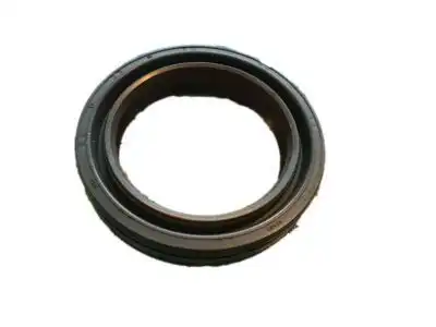 SEAL 12569964 GM