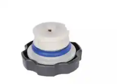 CAP 12573341 GM