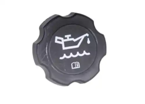 CAP 12573341 GM