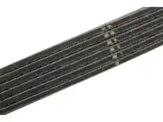 BELT 12576455 GM