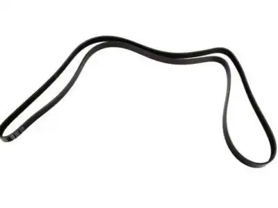 BELT 12576455 GM