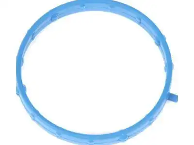 F-(S)GASKET 12640049 GM