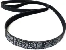 F-(S)BELT 12646376 GM