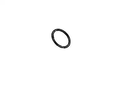 F-(S)RING KIT 12663863 GM