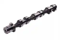 Распредвал GM 12666073
