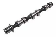 Распредвал GM 12666074
