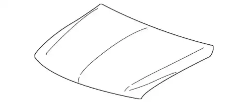 HOOD 15295820 GM