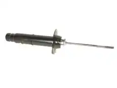 ABSORBER 15789589 GM