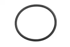 SEAL 19121496 GM