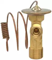 VALVE 19189786 GM