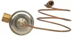 VALVE 19189786 GM