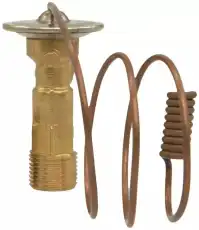 VALVE 19189786 GM