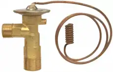 VALVE 19189786 GM