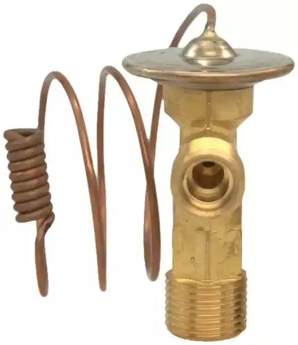 VALVE 19189786 GM