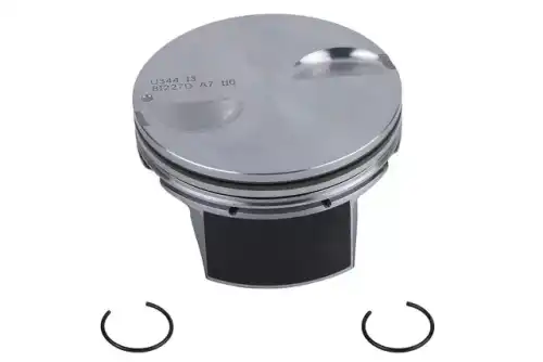 PISTON 19208472 GM
