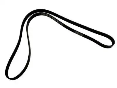 BELT 19244951 GM