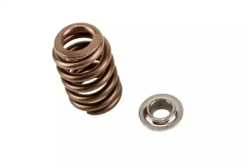 SPRING KI 19257200 GM