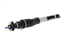W-ABSORBER KIT 19302768 GM
